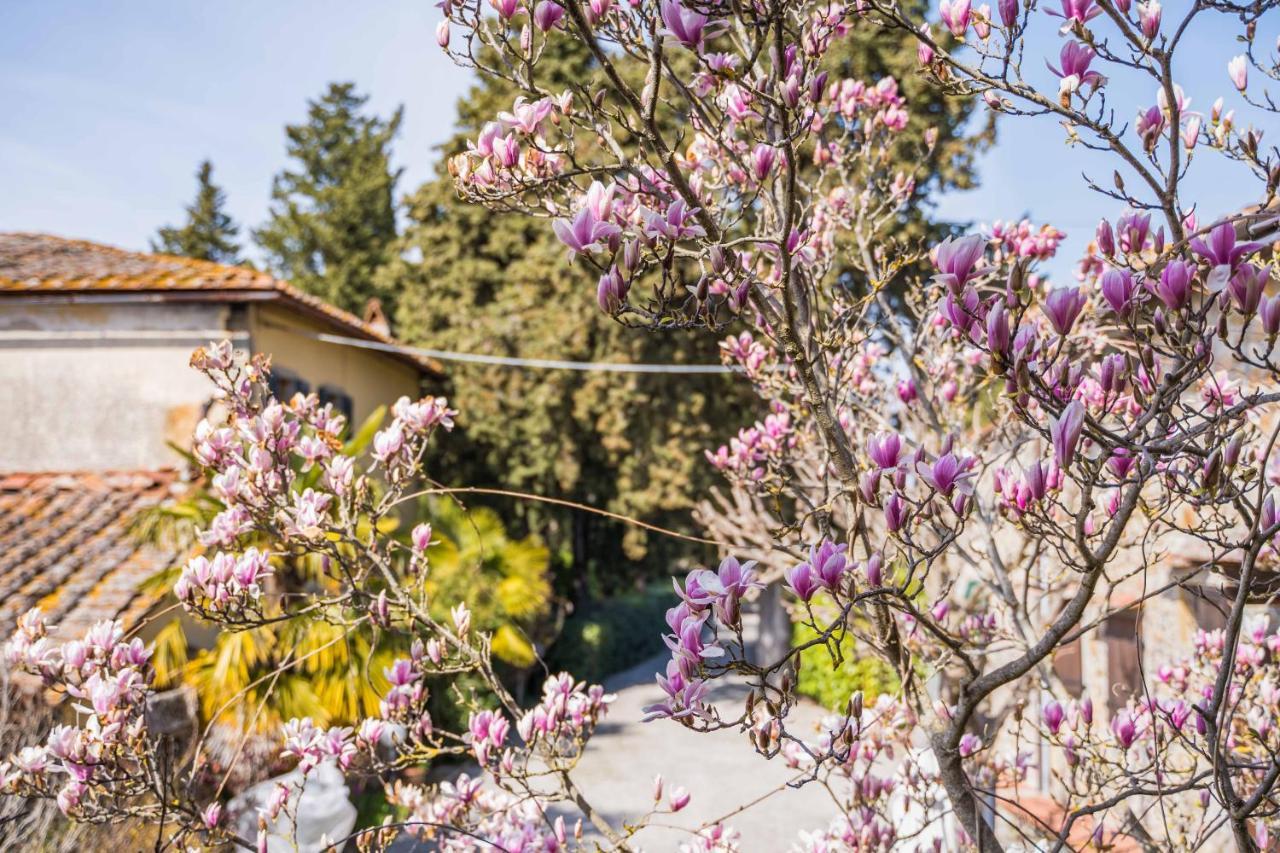 グレーヴェ・イン・キアンティ La Magnolia Bed & Breakfast エクステリア 写真